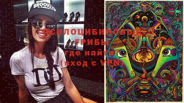 крисы Алексеевка